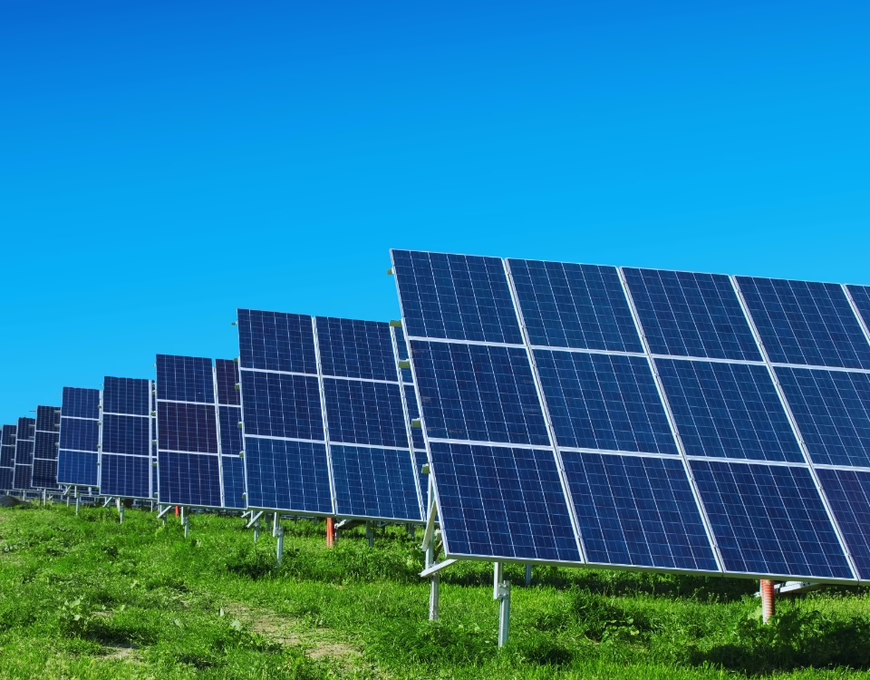 Defrișarea parcurilor fotovoltaice: întreținerea și curățenia vegetație