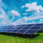 Defrișarea parcurilor fotovoltaice: întreținerea și curățenia vegetație