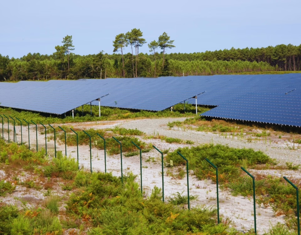 Defrișarea parcurilor fotovoltaice întreținerea și curățenia vegetație
