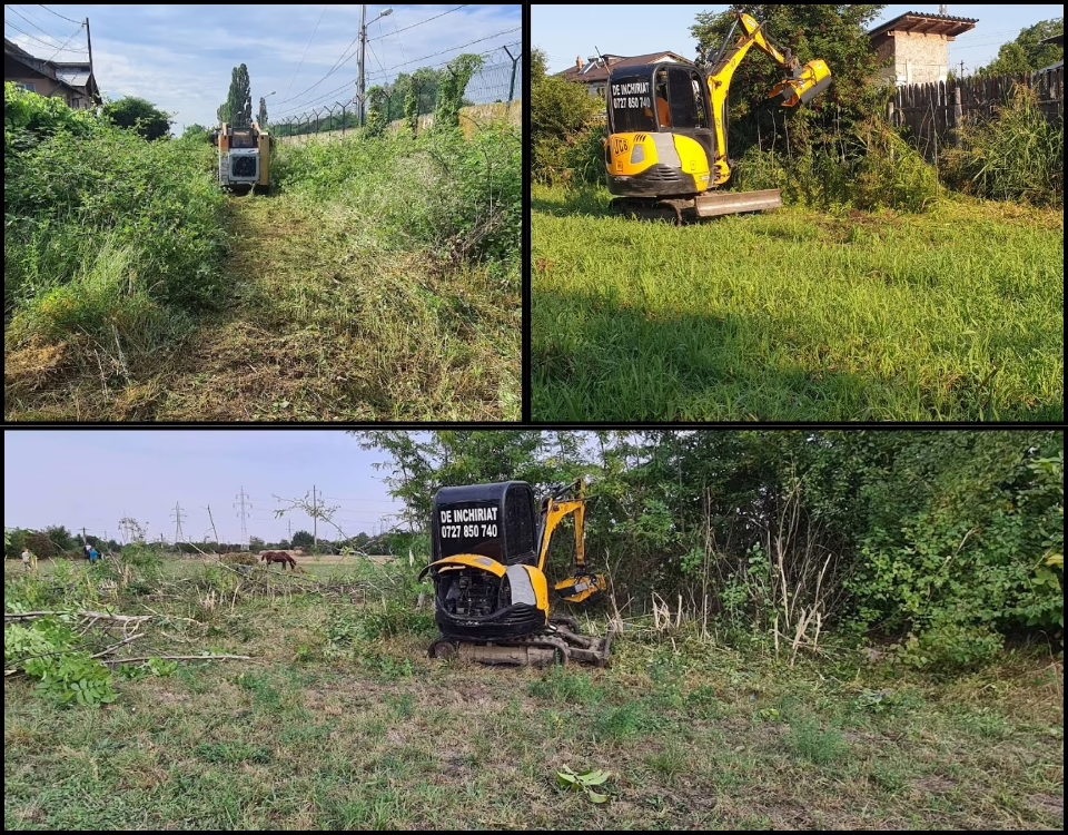 Defrișarea vegetației – proces esențial pentru spațiile industriale