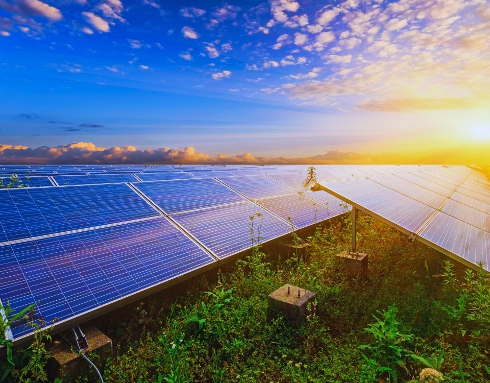 Curățări profesionale cu utilaje moderne în parcuri fotovoltaice