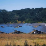 Curățări profesionale cu utilaje moderne în parcuri fotovoltaice