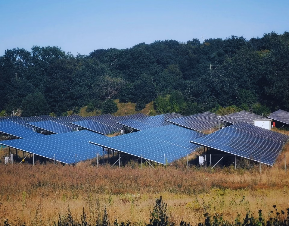 Curățări profesionale cu utilaje moderne în parcuri fotovoltaice