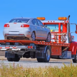 Tractări pe terenuri mlăștinoase: cum se realizează intervențiile